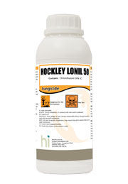 hockley-lonil-50.jpg