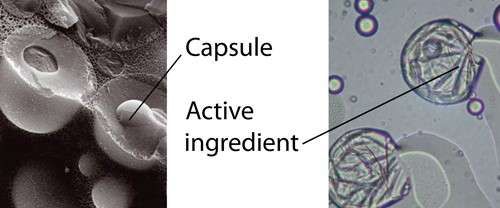 Microencapsulation Example